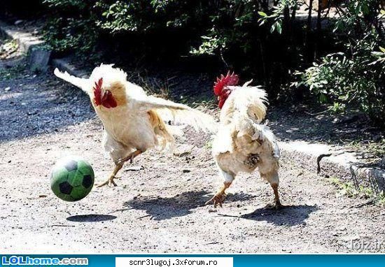 fotbalu' din romania:)) futball